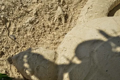 CocoLaPalm Halloween 2022 — Beach Activities, photo 6