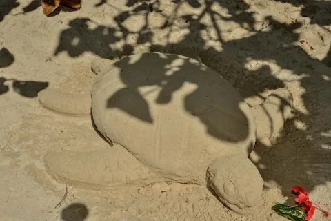 CocoLaPalm Halloween 2022 — Beach Activities, photo 4